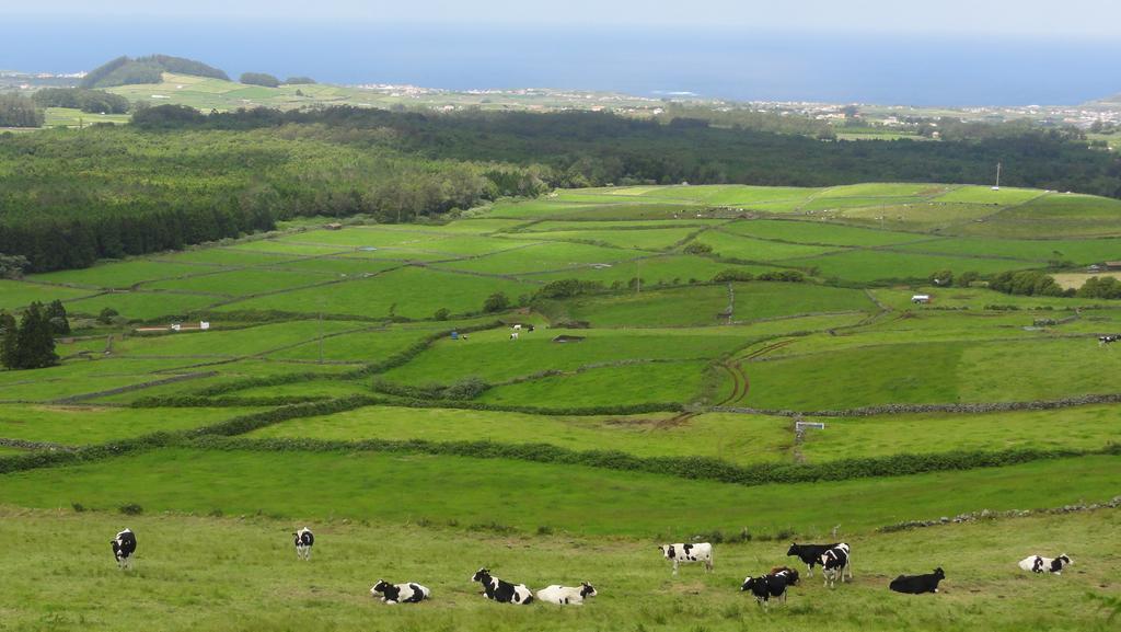Villa Quinta Do Chico Feijao Lajes Habitación foto